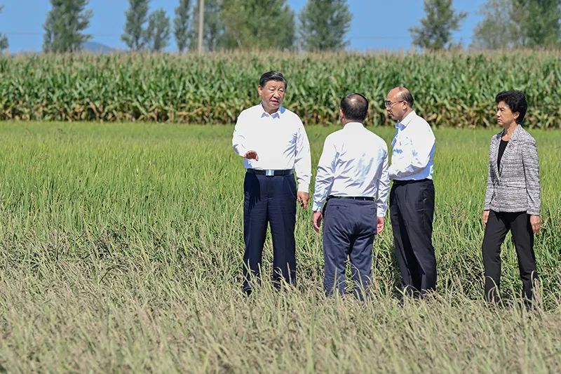 佰利乐·(中国区)有限公司官网