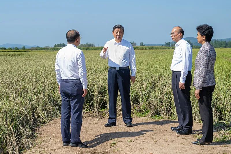 佰利乐·(中国区)有限公司官网